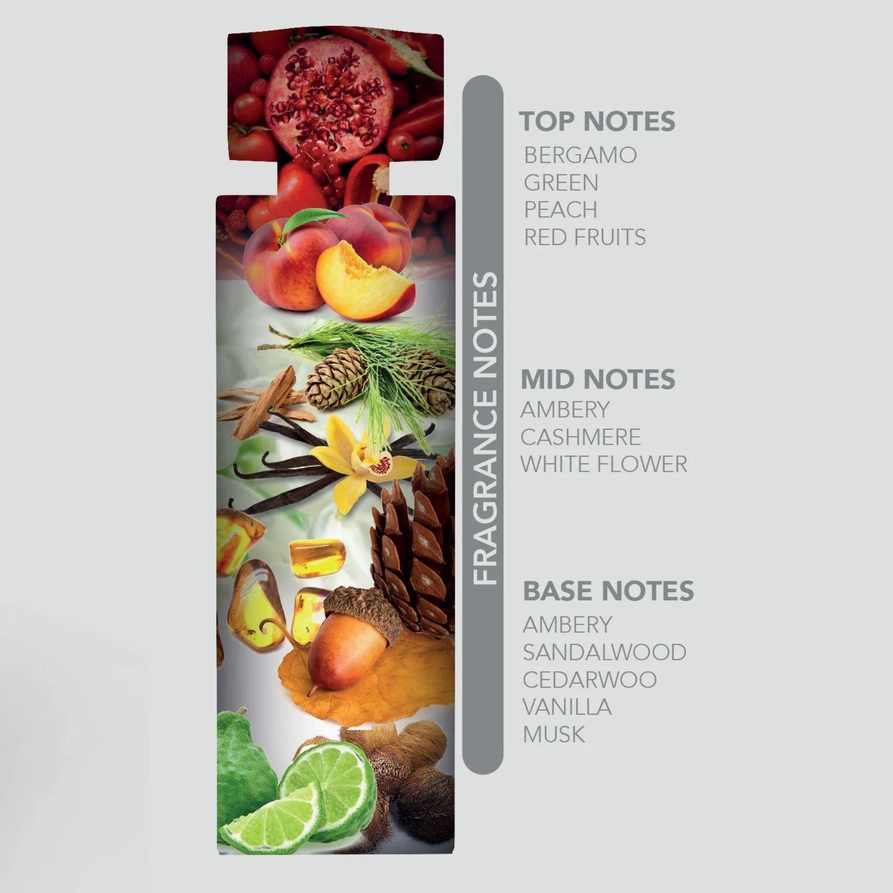 Romancia Kalimat Nylaa