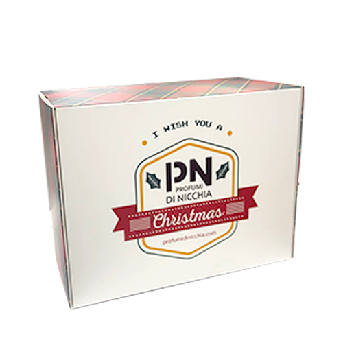 Caja de regalo de Navidad PdN - Caja de regalo de Navidad