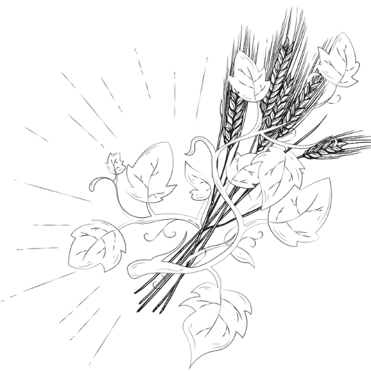 Campo Salvaje - Marcoccia - Eau de Parfum