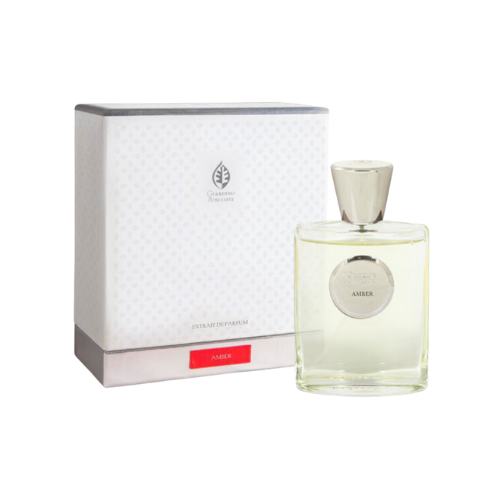 Ámbar - Extracto de fragancia - Wellbeing Garden