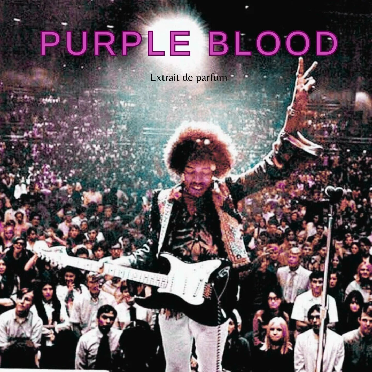 Sangre Púrpura - Parfum Extrait - Walter Maiorano