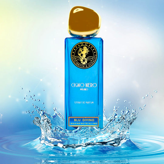 Divine Blue - Eau de Parfum - Cisne Negro