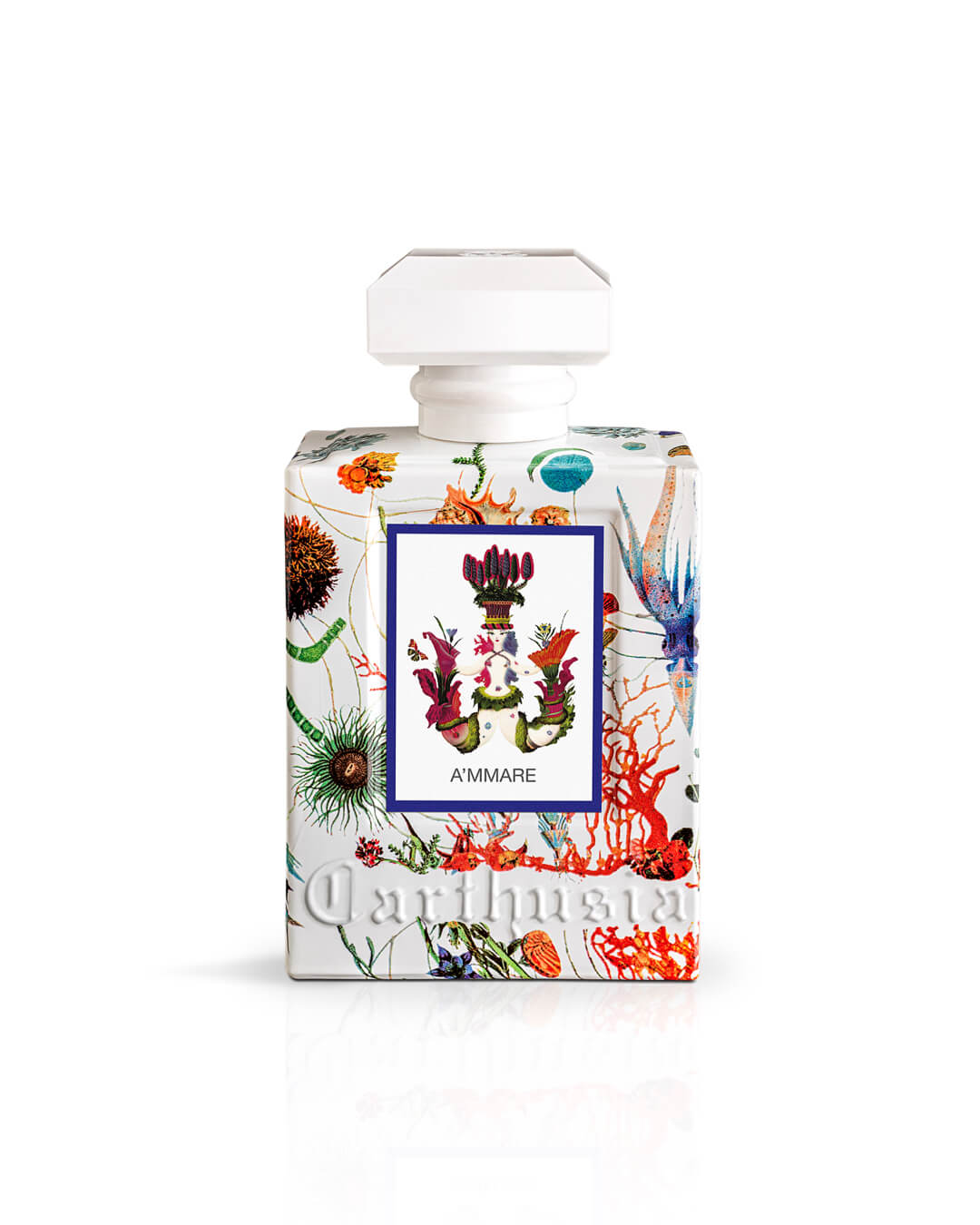 A'Mmare - Agua de Perfume - Carthusia