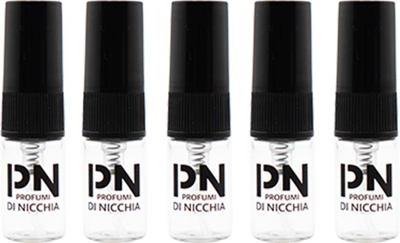 Hermanos Lobo - Set de descubrimiento