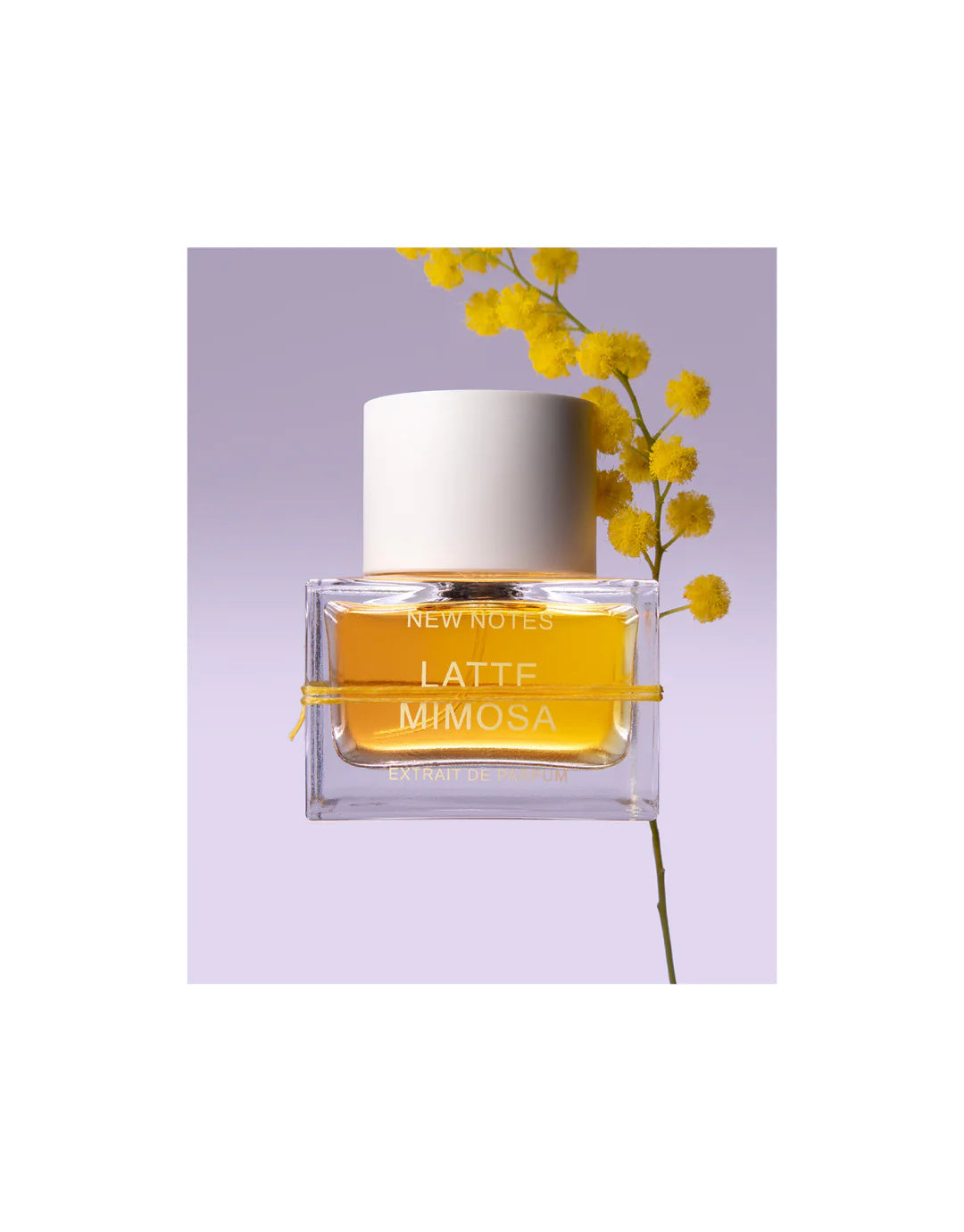 Leche de Mimosa - Extrait de Parfum - Nuevas Notas