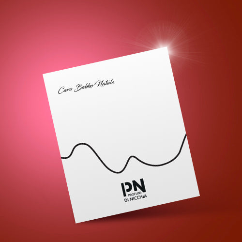 Caja de regalo de Navidad PdN - Caja de regalo de Navidad