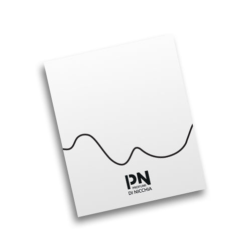 Caja de regalo de Navidad PdN - Caja de regalo de Navidad