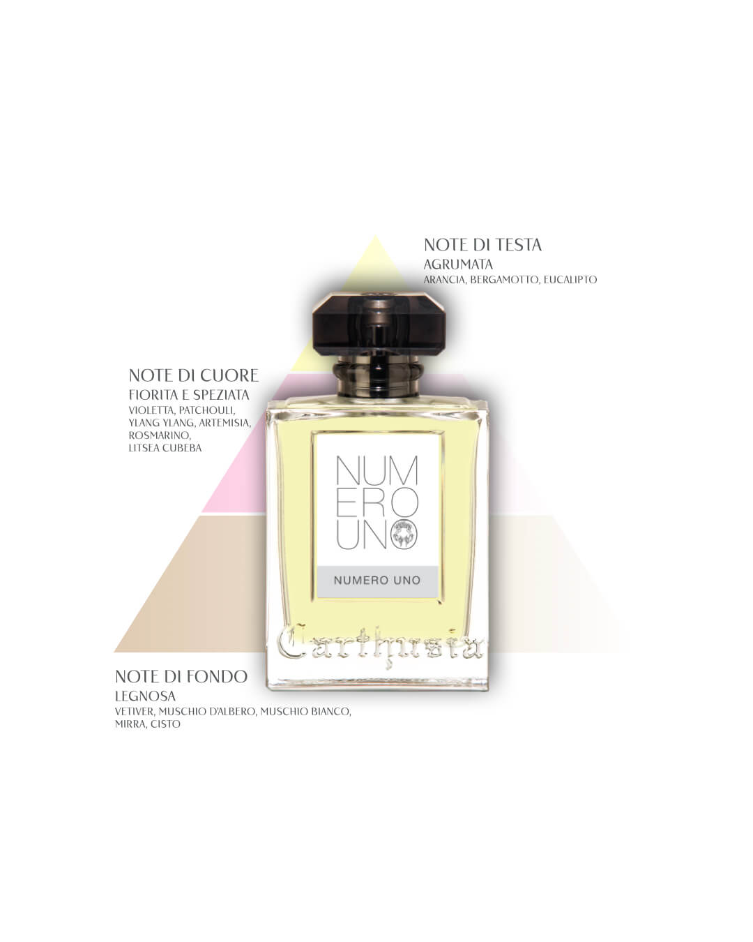 Numero Uno - Agua de Perfume - Carthusia