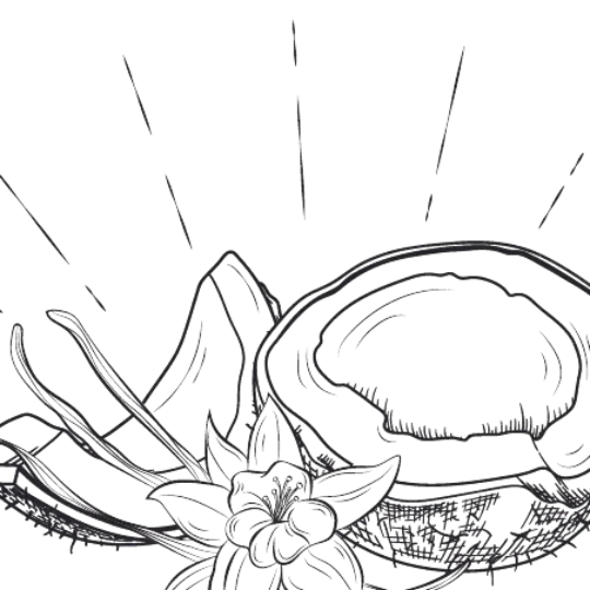 Vainilla Exótica - Marcoccia - Eau de Parfum 