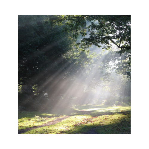 Rayo de luz - Eau De Parfum - J-Scent