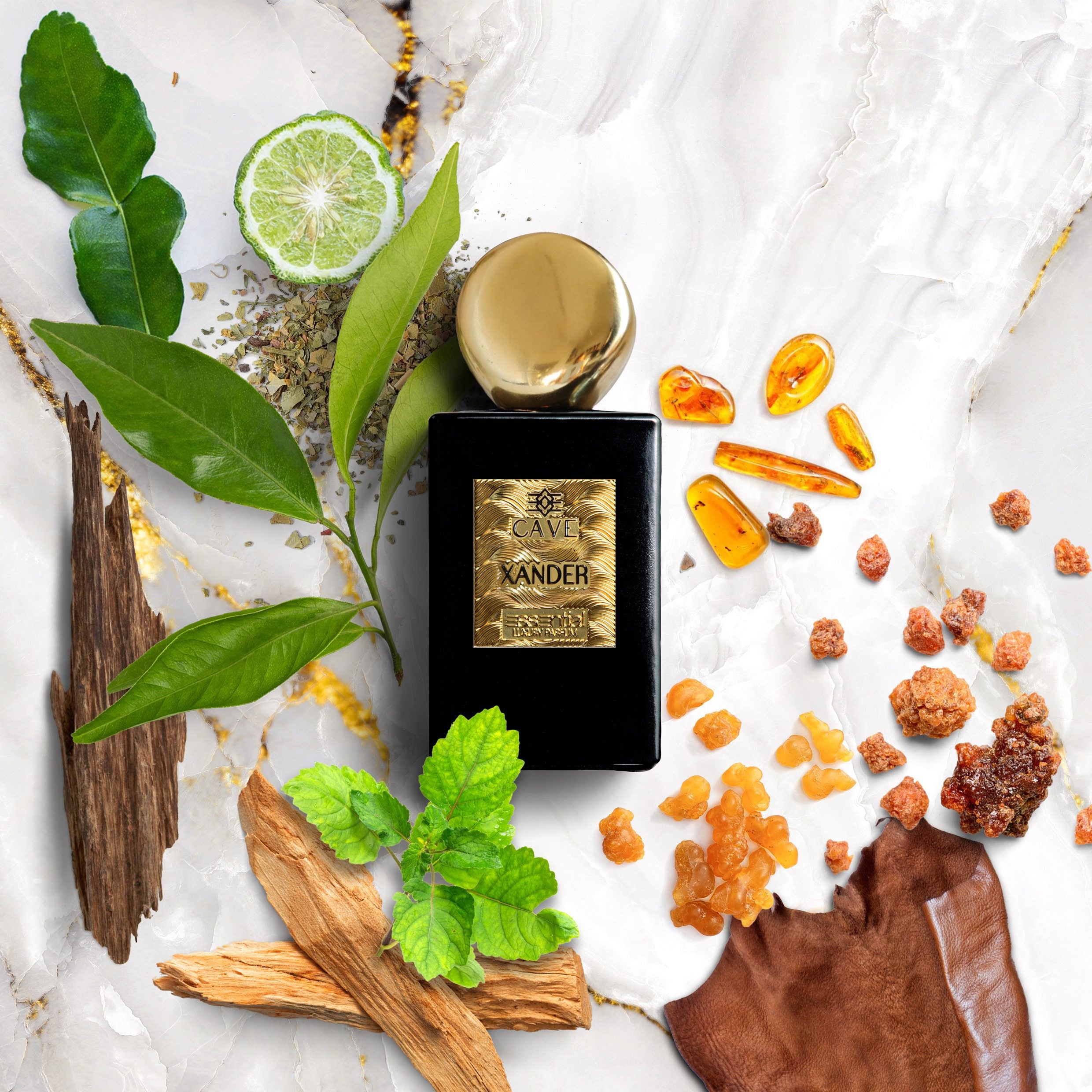 Xander - Extrait de Parfume - Cueva 